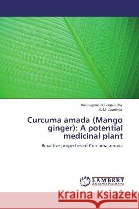 Curcuma amada (Mango ginger): A potential medicinal plant Rudragoud Policegoudra, S M Aradhya 9783848413041 LAP Lambert Academic Publishing - książka