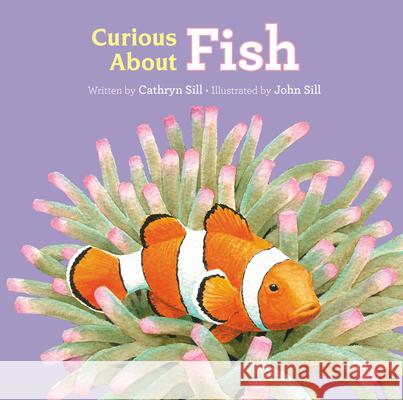 Curious about Fish Cathryn Sill John Sill 9781682632123 Peachtree Petite - książka