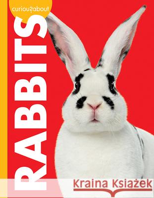 Curious about Rabbits Jill Sherman 9781681526171 Amicus Ink - książka