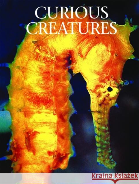 Curious Creatures Andrew Cleave 9781422243053 Mason Crest Publishers - książka