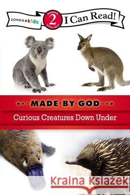 Curious Creatures Down Under: Level 2 Zondervan 9780310721871 Zonderkidz - książka