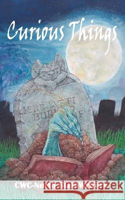 Curious Things: A Compilation of Curiously Disturbing & Sometimes Horrifying Stories Steve Ferchaud State Writers 9781087284019 Independently Published - książka