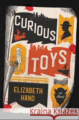 Curious Toys Elizabeth Hand 9780316485913 Mulholland Books - książka