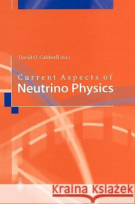 Current Aspects of Neutrino Physics  9783540410027 SPRINGER-VERLAG BERLIN AND HEIDELBERG GMBH &  - książka