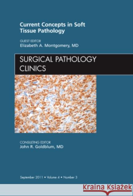 Current Concepts in Soft Tissue Pathology, an Issue of Surgical Pathology Clinics: Volume 4-3 Montgomery, Elizabeth A. 9781455728992 W.B. Saunders Company - książka