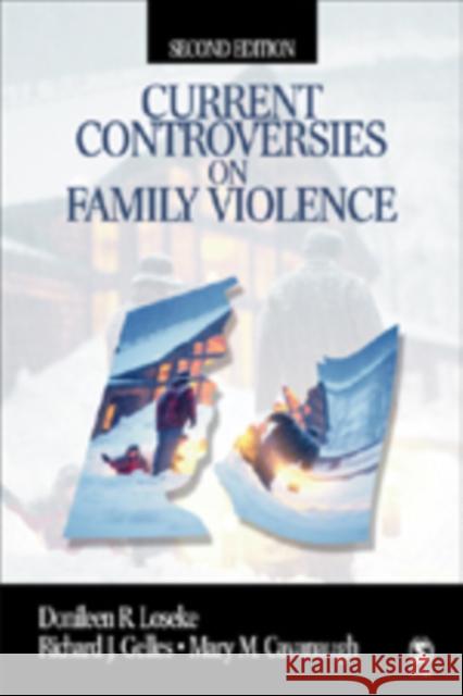 Current Controversies on Family Violence Richard J. Gelles Donileen R. Loseke Mary M. Cavanaugh 9780761921066 Sage Publications - książka