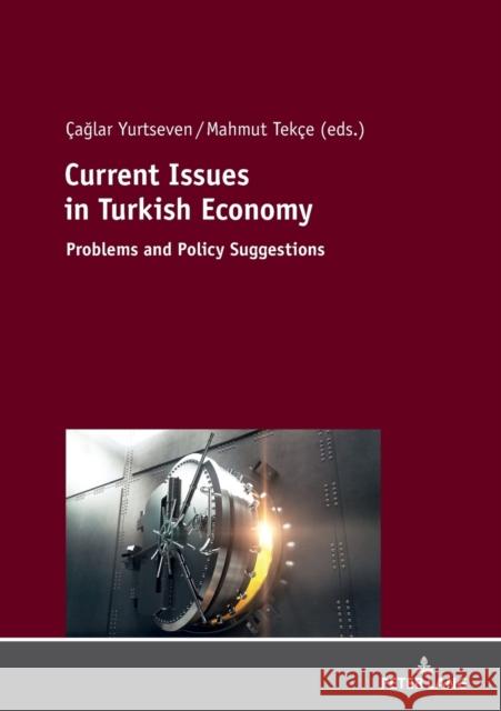 Current Issues in Turkish Economics: Problems and Policy Suggestions Yurtseven, Çaglar 9783631782798 Peter Lang AG - książka