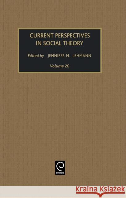 Current Perspectives in Social Theory Jennifer M. Lehmann 9780762306459 Emerald Publishing Limited - książka