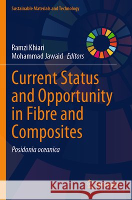 Current Status and Opportunity in Fibre and Composites  9789819645480 Springer Nature Singapore - książka