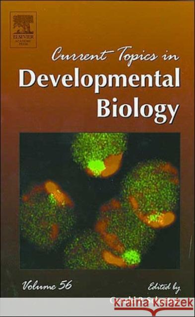 Current Topics in Developmental Biology Schatten, Gerald P. 9780121531560 Academic Press - książka