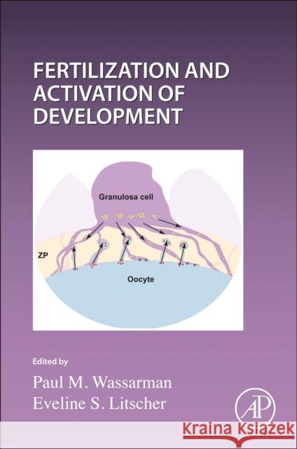Current Topics in Developmental Biology: Fertilization and Activation of Development Volume 162 Paul Wassarman Eveline Litscher 9780323912419 Academic Press - książka