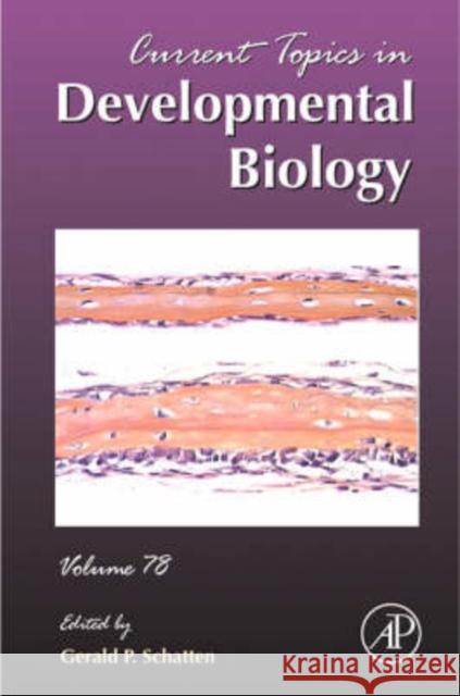 Current Topics in Developmental Biology: Volume 78 Schatten, Gerald P. 9780123737489 Academic Press - książka