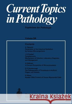 Current Topics in Pathology / Ergebnisse Der Pathologie Altmann, H. -W 9783642649974 Springer - książka