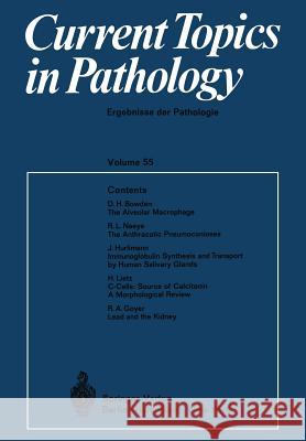 Current Topics in Pathology / Ergebnisse Der Pathologie Altmann, H. -W 9783642652097 Springer - książka
