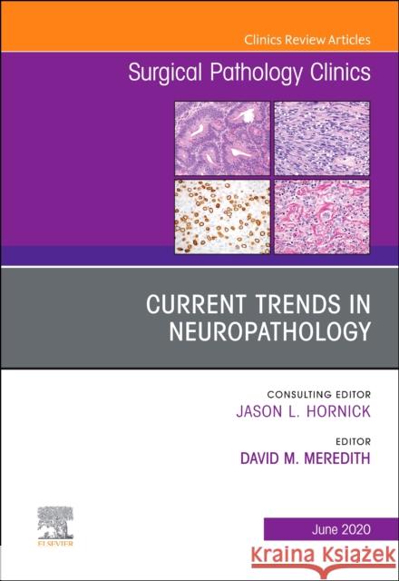 Current Trends in Neuropathology, an Issue of Surgical Pathology Clinics David M. Meredith 9780323756068 Elsevier - książka