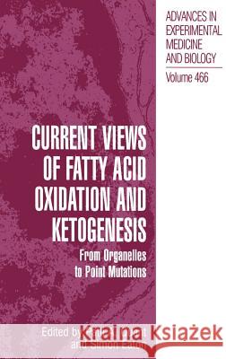 Current Views of Fatty Acid Oxidation and Ketogenesis: From Organelles to Point Mutations Quant, Patti A. 9780306462009 Kluwer Academic Publishers - książka