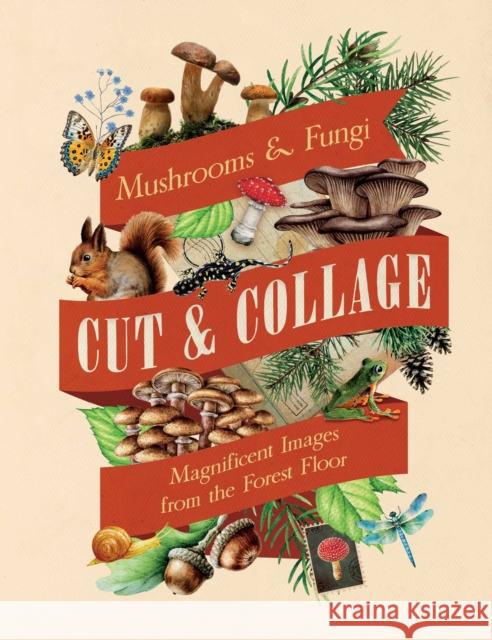 Cut & Collage Mushrooms and Fungi: Magnificent Images from the Forest Floor Earth Aware Editions 9798887621487 Insight Editions - książka