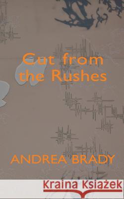 Cut from the Rushes Andrea Brady 9781874400639 Reality Street Editions - książka