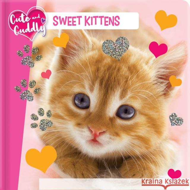 Cute and Cuddly: Sweet Kittens Marine Guion 9782898021749 CrackBoom! Books - książka