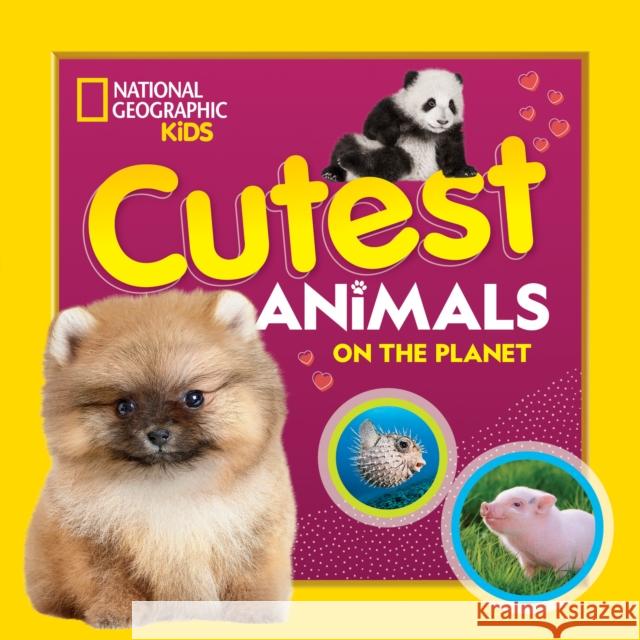 Cutest Animals on the Planet National Geographic Kids 9781426339226 National Geographic Kids - książka