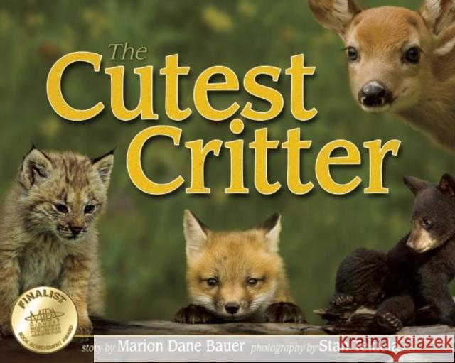 Cutest Critter Bauer, Marion Dane 9781591932536 Adventure Publications(MN) - książka