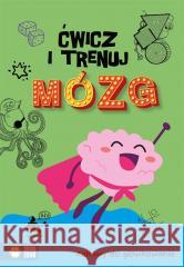 Ćwicz i trenuj mózg. Zabawy do główkowania Tomasz Kopka 9788382995985 Zielona Sowa - książka