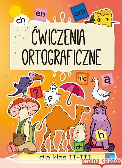 Ćwiczenia ortograficzne  dla klas II-III Guzowska Beata 9788381146173 Literat - książka