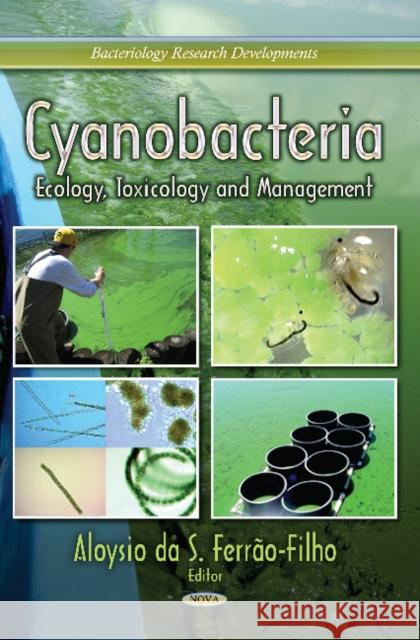 Cyanobacteria: Ecology, Toxicology & Management Aloysio Da S Ferrão-Filho 9781624179662 Nova Science Publishers Inc - książka