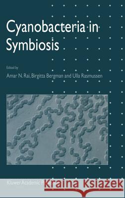 Cyanobacteria in Symbiosis Amar N. Rai Birgitta Bergman Ulla Rasmussen 9781402007774 Kluwer Academic Publishers - książka