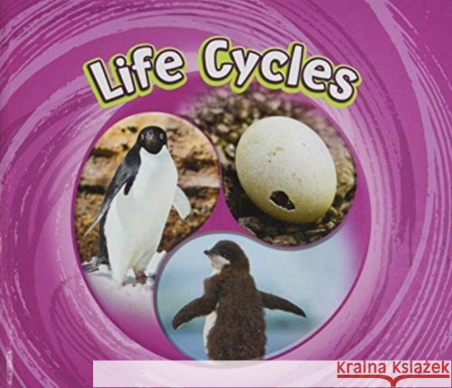 Cycles of Nature Pack B of 5 Jaclyn Jaycox 9781474795302 Capstone Global Library Ltd - książka