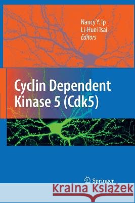 Cyclin Dependent Kinase 5 (Cdk5) Nancy y Ip Li-Huei Tsai  9781489987747 Springer - książka
