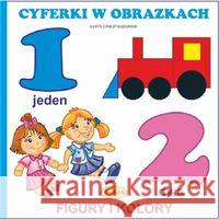 Cyferki w obrazkach. Figury i kolory Błędowski Ernest 9788365485328 Pasja - książka