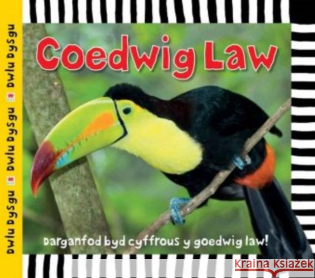 Cyfres Dwlu Dysgu: Coedwig Law Sarah Powell 9781849671996 Rily Publications Ltd - książka