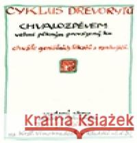 Cyklus dřevorytů k chvále geniálních lékařů a ranhojičů Josef Váchal 9788074325144 Paseka - książka