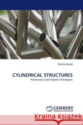 CYLINDRICAL STRUCTURES : Previously Used Hybrid Techniques David, Ronnie 9783838331980 LAP Lambert Academic Publishing - książka