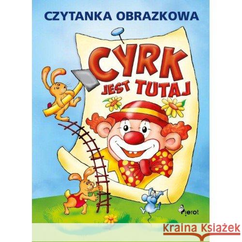 Cyrk jest tutaj Sulc Petr 9788073534516 Pierot - książka
