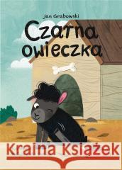 Czarna owieczka Jan Grabowski 9788367498265 Ibis/Books - książka