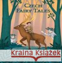 Czech Fairy Tales /Plot/ Magdalena Wagnerová 9788074284847 Plot - książka