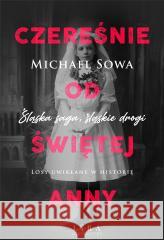 Czereśnie od Świętej Anny Michael Sowa 9788367388214 Lira Publishing - książka