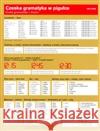 Czeska gramatyka w pigulce Lída Holá 9788086903774 Akropolis