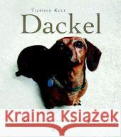 Dackel : Die besten Freunde der Welt. Tierisch kult Paxmann, Christine 9783938428290 Dort-Hagenhausen-Verlag - książka