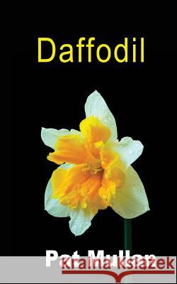 Daffodil Pat Mullan 9781495451935 Createspace - książka