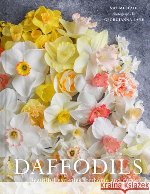 Daffodils: Beautiful Varieties for Home and Garden Georgianna Lane 9780008662707 HarperCollins Publishers - książka