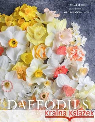 Daffodils: Beautiful Varieties for Home and Garden Naomi Slade Georgianna Lane 9781423668060 Gibbs Smith - książka