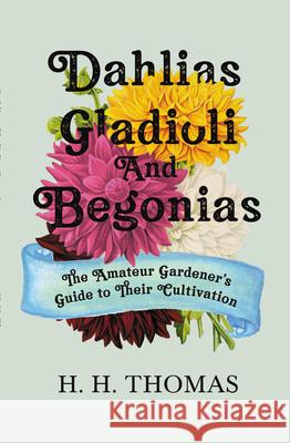 Dahlias, Gladioli and Begonias: The Amateur Gardener's Guide to Their Cultivation Thomas, H. H. 9781446525746 Norman Press - książka
