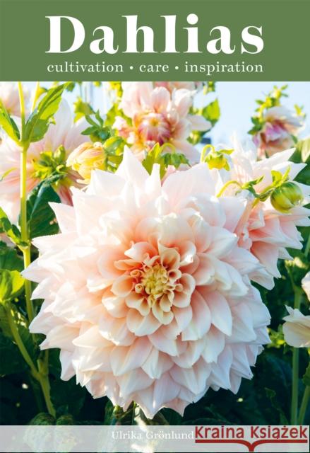 Dahlias: Inspiration, Cultivation and Care for 222 Varieties Ulrika Gronlund 9781837830954 Quadrille Publishing Ltd - książka