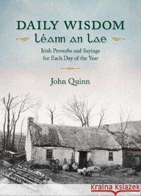 Daily Wisdom/LeAnn an Lae John Quinn 9781847309600 Veritas Publications - książka