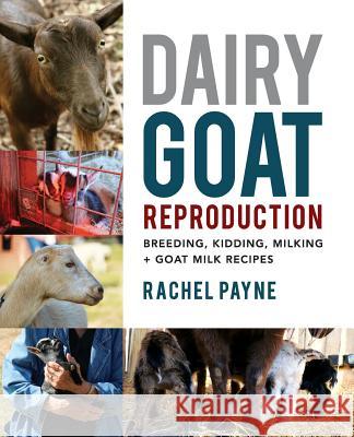 Dairy Goat Reproduction: Breeding, Birthing, and Milking + Goat Milk Recipes Rachel Payne 9780692039540 Rachel Payne - książka