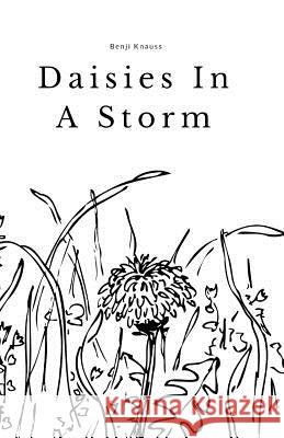 Daisies In A Storm: A Short Story Collection Knauss, Benji 9781724640611 Createspace Independent Publishing Platform - książka