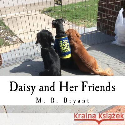 Daisy and Her Friends M. R. Bryant 9781541374904 Createspace Independent Publishing Platform - książka